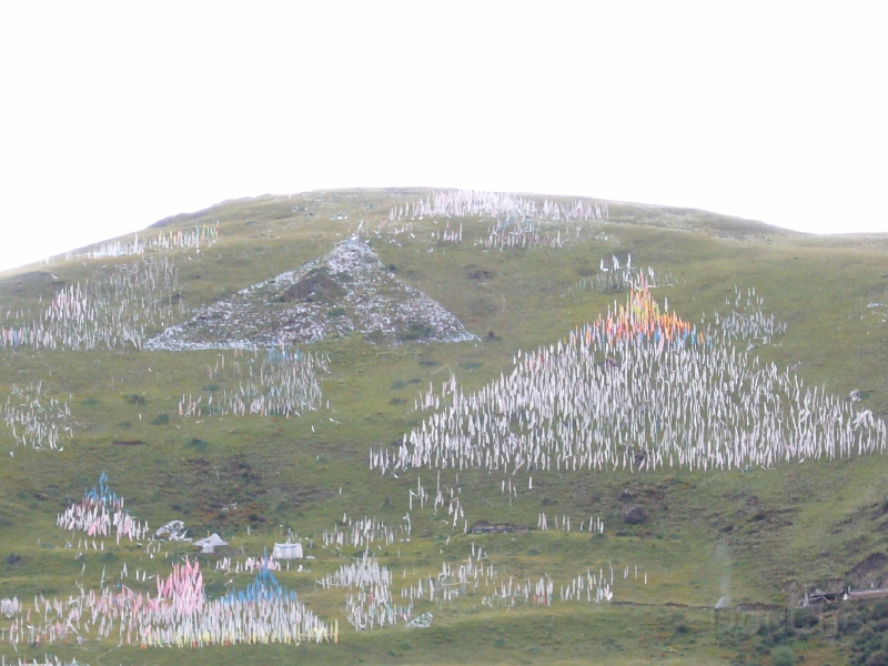 P1000540.jpg