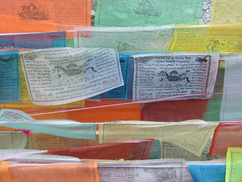 P1000724.jpg