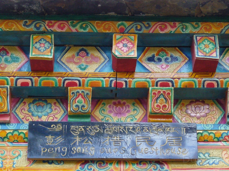 P1000668.jpg