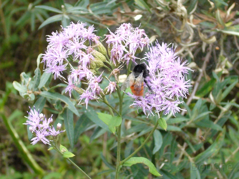 P1000334.jpg