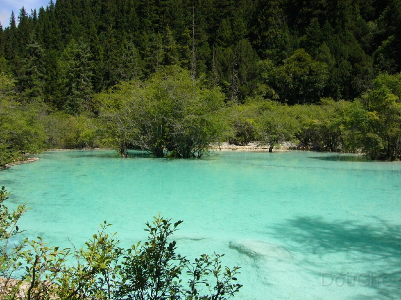 P1000087.jpg