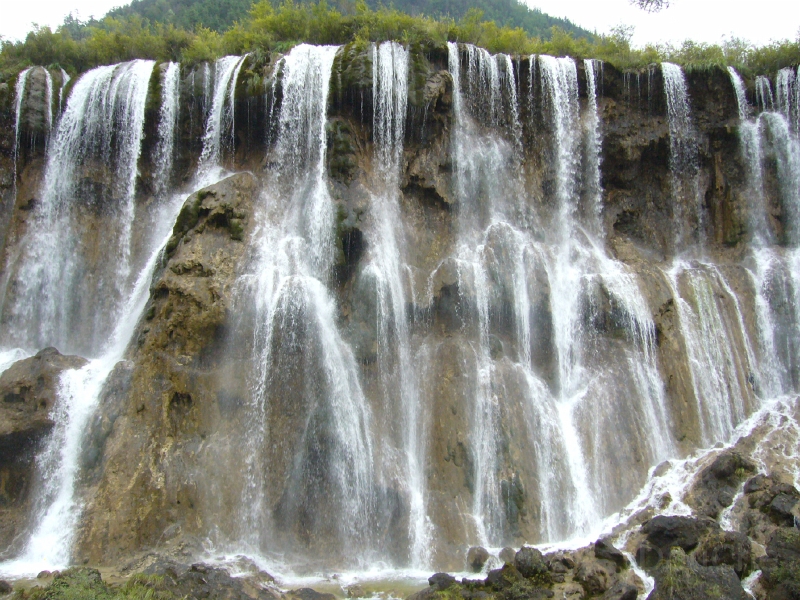 P1000332.jpg