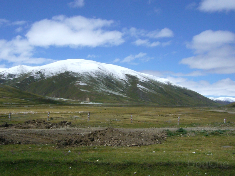 P1000612.jpg