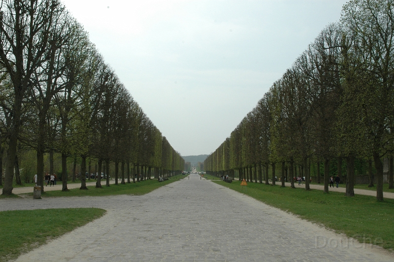 DSC_0228.jpg
