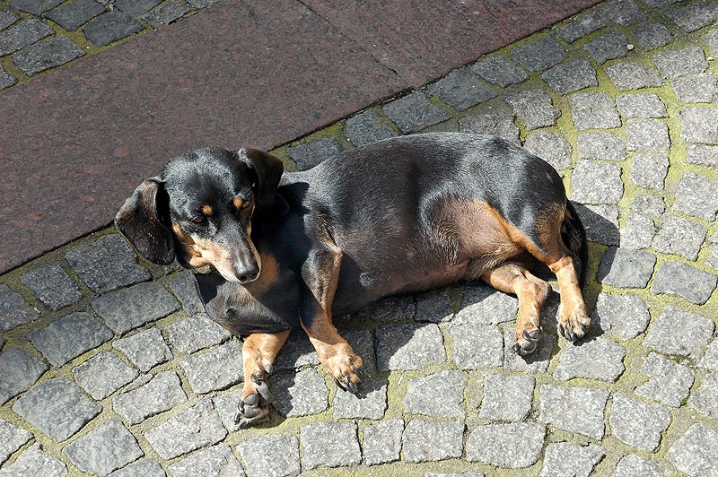 DSC_0039_dxo_CS2.jpg