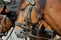 DSC_0056_dxo_CS2