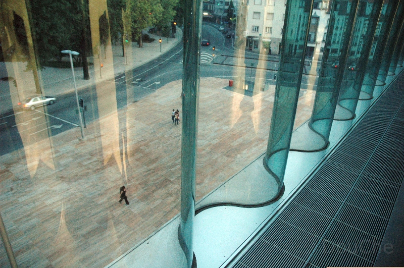 DSC_0210.JPG