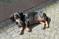 2007_Germany-Austria
