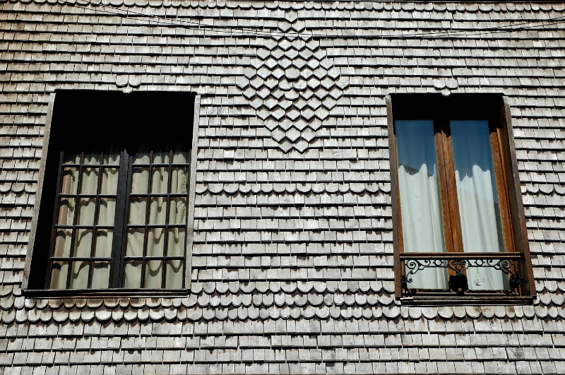 DSC_0004_out.jpg