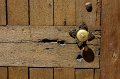 DSC_0017_out