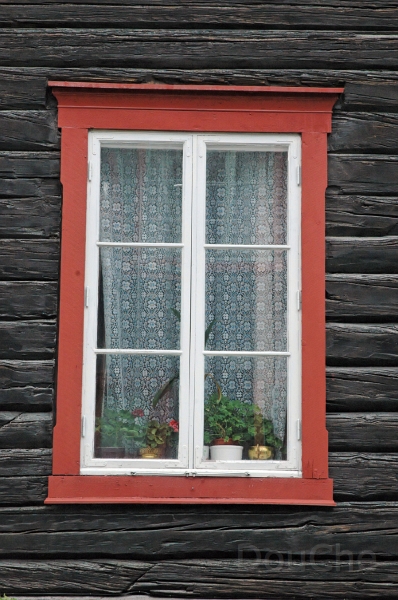 DSC_0596_out.jpg