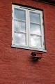 DSC_0653_out