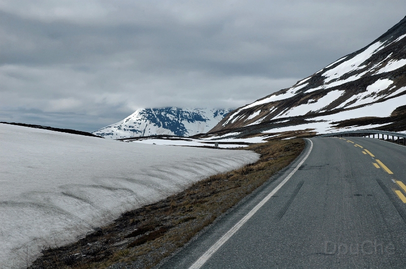 DSC_0899_out.jpg