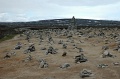 DSC_0676_out
