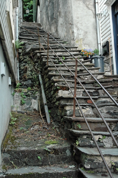 DSC_0374_out.jpg