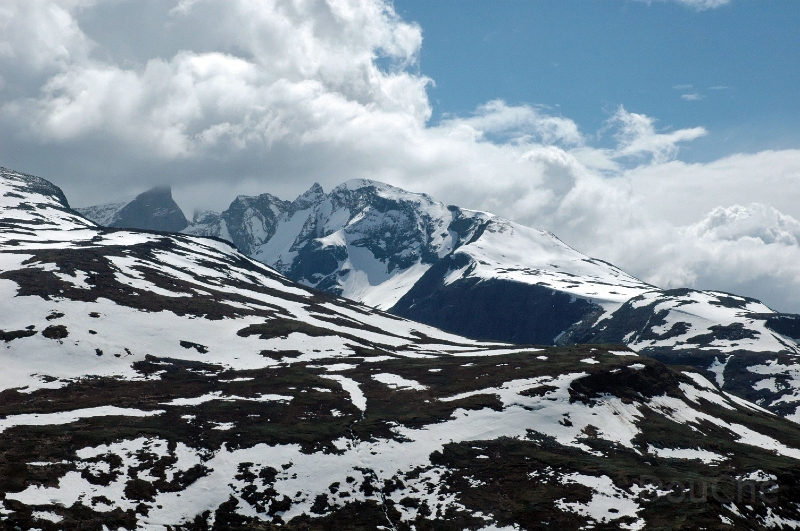 DSC_0559_out.jpg