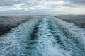 DSC_0710_out