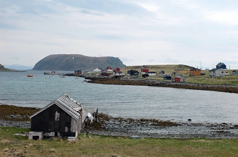 DSC_1004_out.jpg