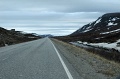 DSC_0941_out