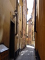 P1060388