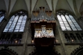 Koln
