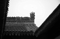 DSC_0866_BW