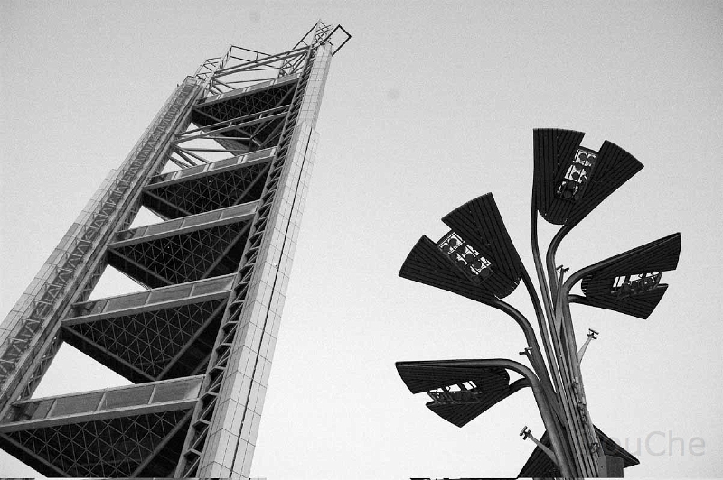DSC_0003_BW.jpg