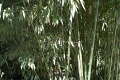L1002549