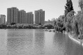 L1002553_BW