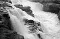 DSC_0771_BW