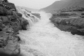 L1003161_BW