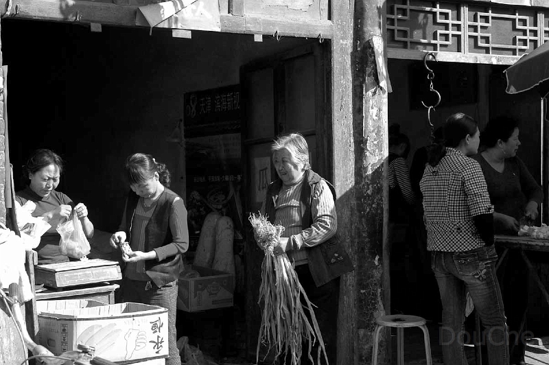 DSC_0195_BW.jpg