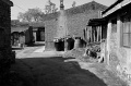 DSC_0225_BW