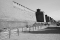L1002637_BW