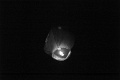 L1002723_BW