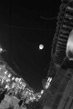 L1002735_BW