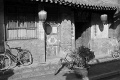 L1002750_BW