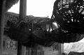 DSC_0411_BW