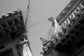 L1002984_BW