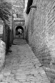 DSC_0290_BW