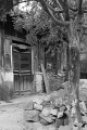 L1003044_BW