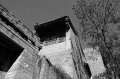 DSC_0654_BW