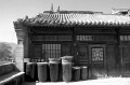 DSC_0666_BW