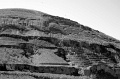 DSC_0688_BW