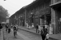 L1003253_BW