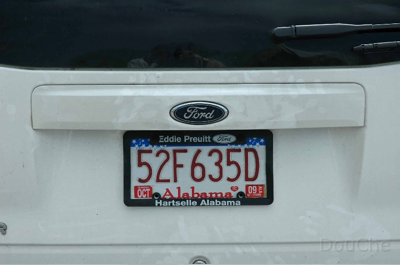 DSC_0391_out.jpg