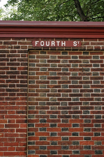 DSC_0019_out.jpg