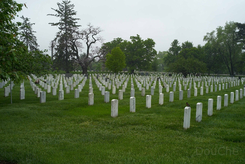 L1001477.jpg