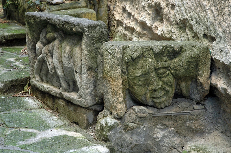 DSC_0343_800.jpg