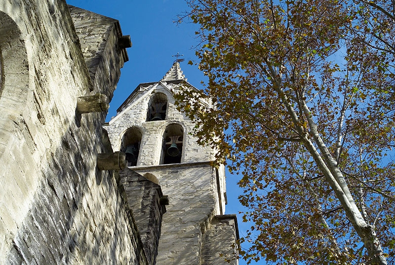 L1003403_800.jpg